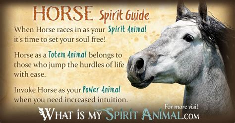 Horse Symbolism & Meaning | Spirit, Totem, & Power Animal