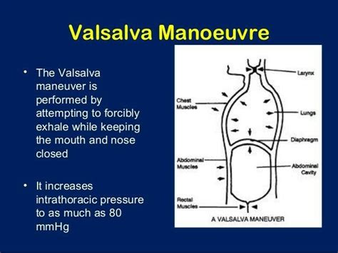 Valsalva maneuver | Valsalva maneuver, Physiology, Nursing school