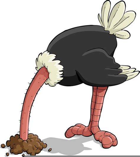 Head In Sand Ostrich Clipart | Free Images at Clker.com - vector clip art online, royalty free ...