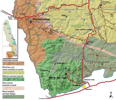 Kruger Park Birding by Region - The South West