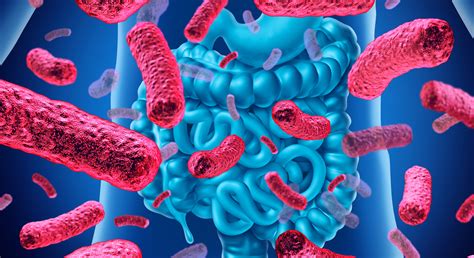 Science community defends effectiveness of probiotics - Gut Microbiota ...