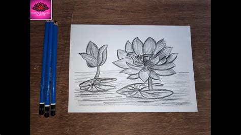 How to draw a beautiful lotus flower with pencil shading - YouTube