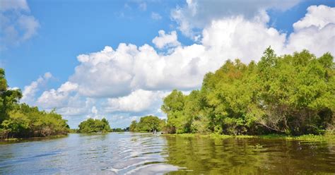 Life With 4 Boys: Atchafalaya Basin Swamp Tours with McGee's Landing # ...