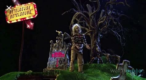 Pinterest | Beetlejuice halloween, Beetlejuice, Halloweenie