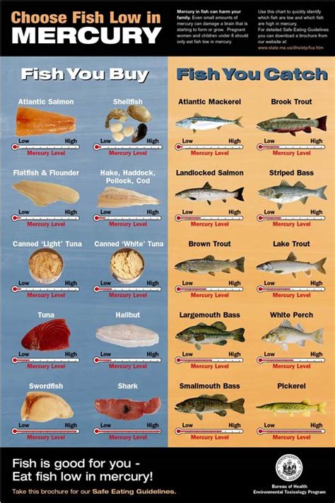 The Fisheries Blog: Mercury in fish, what should I eat?