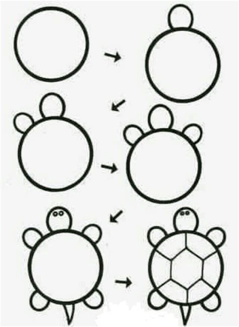 Actualizar más de 82 dibujo tortuga paso a paso mejor - camera.edu.vn