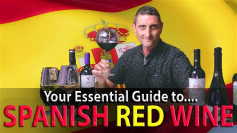 A Complete Overview of Spanish Red Wines - Wine Recently