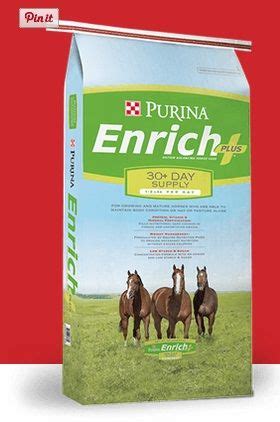 Pin on Equine Feed and Feeding