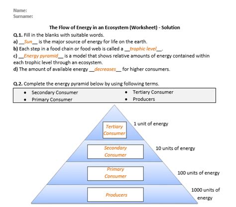 The Flow of Energy in an Ecosystem - Worksheet | Printable and Distance Learning | Teaching ...