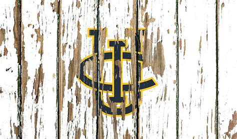 UC Irvine University College Logo Vintage Peeling Paint Barn Wood Mixed ...