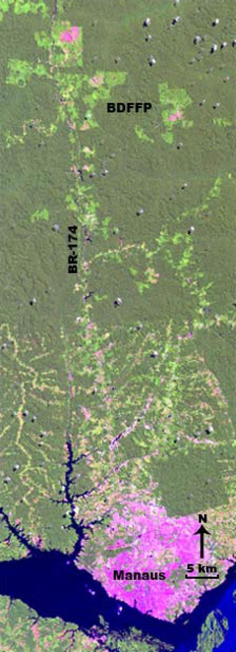 Human impacts on primate conservation in central Amazonia