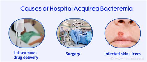 Bacteremia - Causes, Symptoms, Diagnosis, Treatment, Prevention
