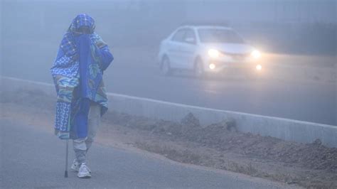 Delhi winter: Cold wave and fog cause chaos in northern India - BBC News