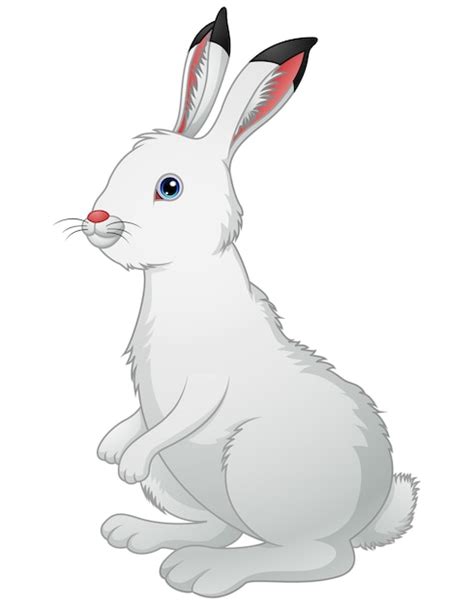 Premium Vector | Cute white rabbit on a white background