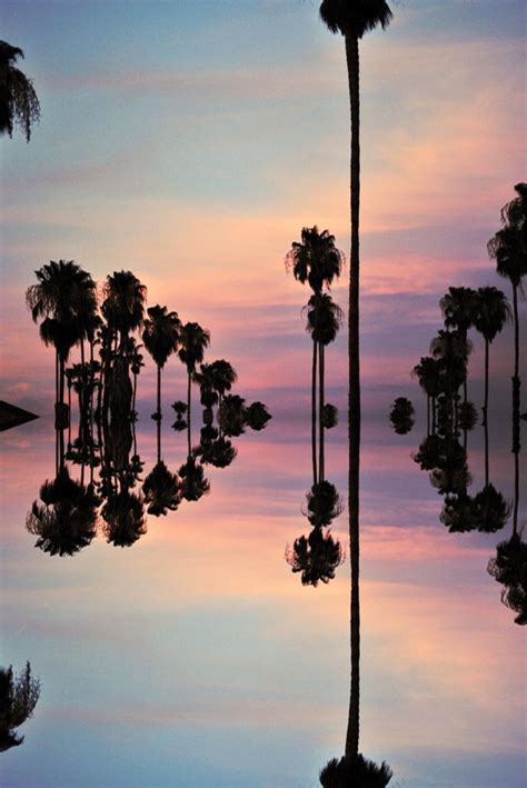 palm trees pink sky sunset reflection | Palm trees, Photo, Pretty pictures