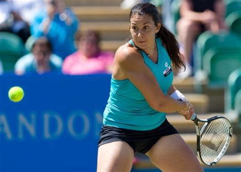 Marion Bartoli | Tennis players, Sports, Tennis racket