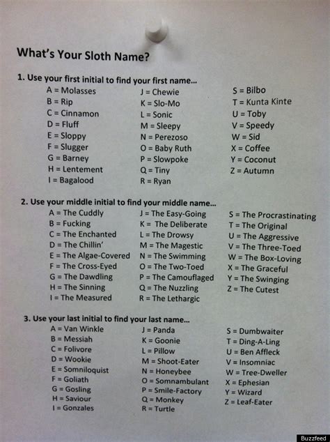 What's Your Sloth Name?: The Definitive Chart (PICTURE) | HuffPost Entertainment