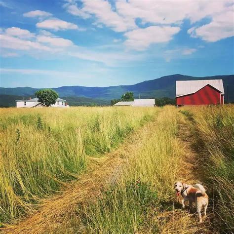 Sustainable Practices in the Shenandoah Valley - Shenandoah Valley