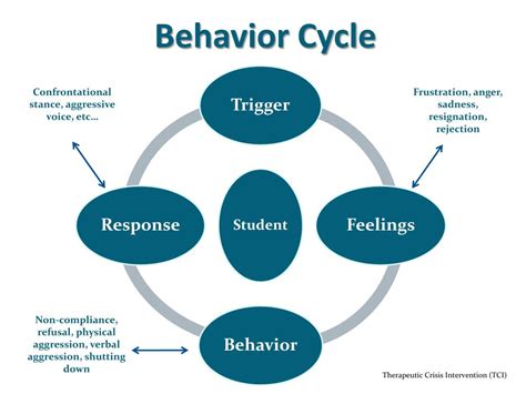 PPT - Behavior Cycle PowerPoint Presentation, free download - ID:2851146