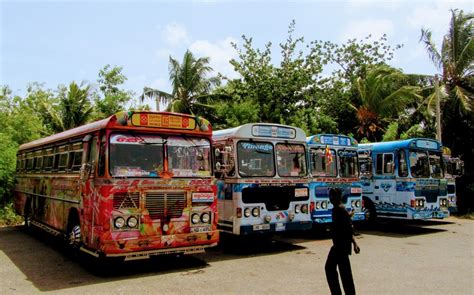 Sri Lanka Buses – Fish Ear Soup