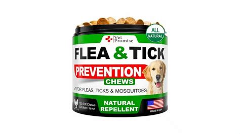 11 BestTick Prevention For Dogs: Tips And Products To Keep Your Pup Safe | Alpha Paw