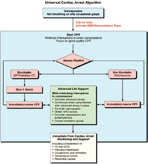 The universal Cardiac Arrest algorithm 1,2 . | Download Scientific Diagram