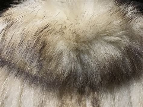 Exquisite Arctic Fox Fur Full Length Winter Coat Medium Size 8-10 - Etsy