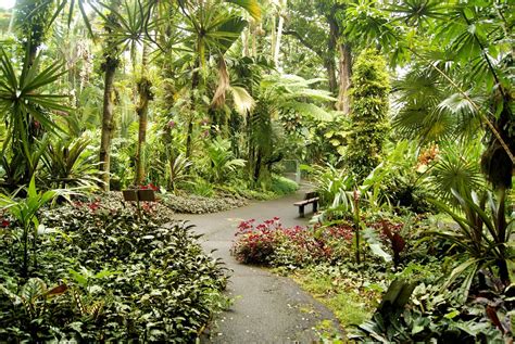 Hawaii Tropical Botanical Garden | Hawaii Tropical Botanical… | Flickr