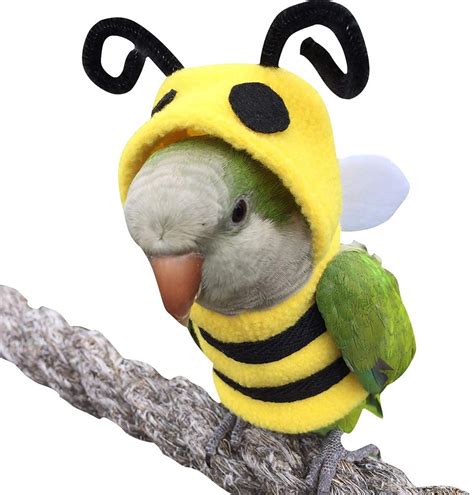 Funny Bee Shaped Birds Clothes Flying Suit Parrots Costume Cosplay Winter Warm Hat Hooded Pet ...