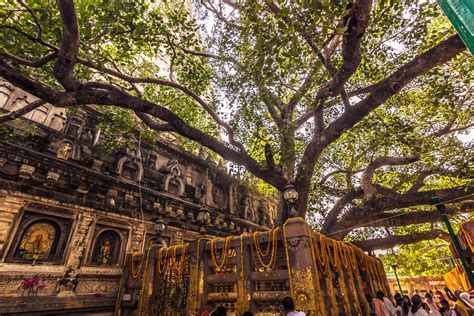 Bihar's Mahabodhi Temple in Bodhgaya and How to Visit It