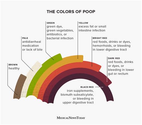 Human Poop Chart Stool Color - vrogue.co