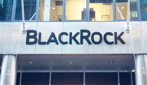 BlackRock mining tech investment might be green light for others ...