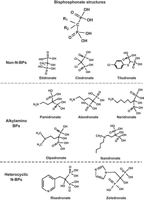 Bisphosphonates pharmacology and use in the treatment of osteoporosis | Oncohema Key