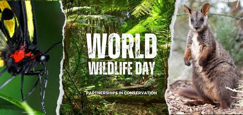 Celebrating our conservation partnerships this World Wildlife Day 2023 ...