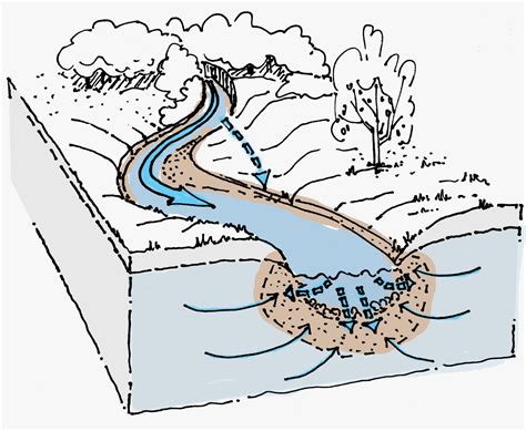 3. LIFE IN A RIVER – Water detective