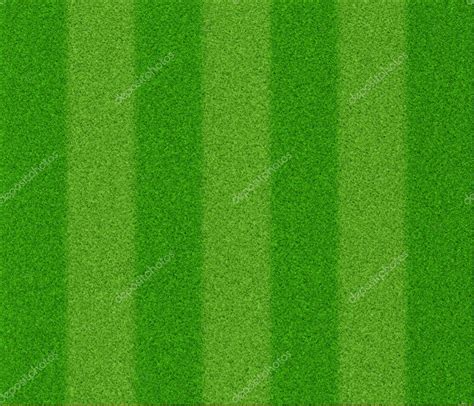 Football grass texture — Stock Photo © artshock #12578508