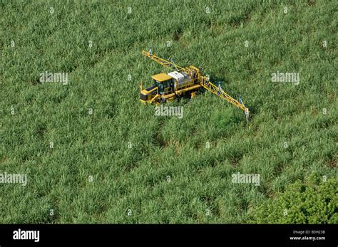 equipment RoGator sprayer in sugarcane field farming sugar cane Stock Photo - Alamy