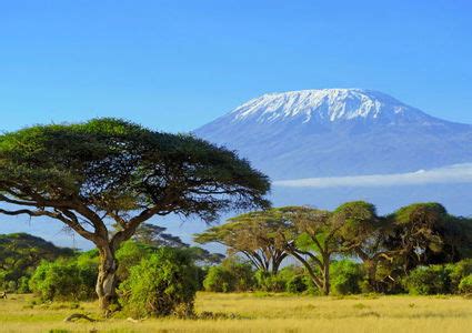 National Parks in Kenya | My Travel Encounters