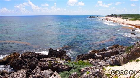 Coconuts Cozumel Mexico Address and Map