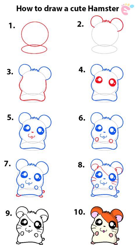 Learn how to draw a Cute Hamster - EASY TO DRAW EVERYTHING