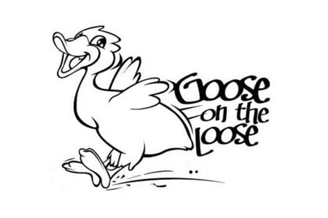 Goose on the Loose | Meatstock