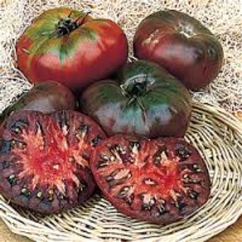 Tomato Cherokee Purple Heirloom - Goode Greenhouses