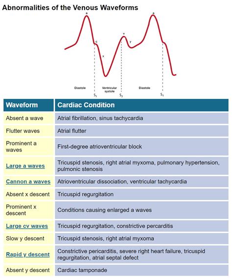 Jugular Venous Pressure Waveforms