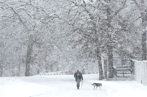 Season's first snow is Chicago's largest November snowfall in 120 years - Chicago Tribune