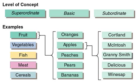 [Solved] Choose the set that contains a pair of co-hyponyms and a... | Course Hero