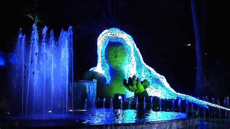 15 Ideas of Botanical Garden Lights