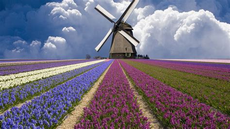 Gray windmill, nature, windmill, Netherlands HD wallpaper | Wallpaper Flare