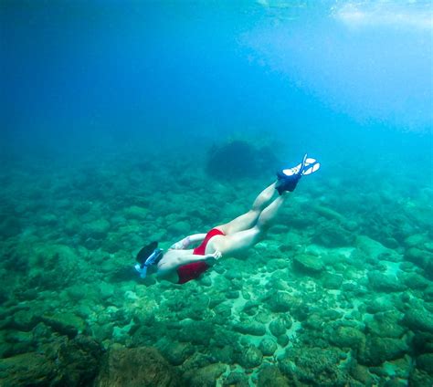 Best Snorkeling in Oahu: 6 Not-to-Miss Places to Explore - Uprooted ...