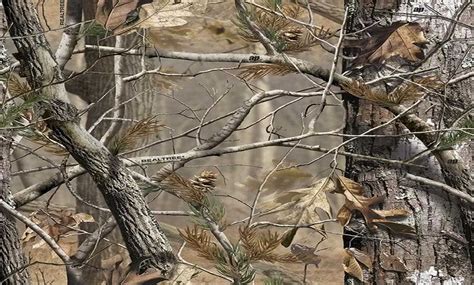 Realtree Wallpapers - Top Free Realtree Backgrounds - WallpaperAccess