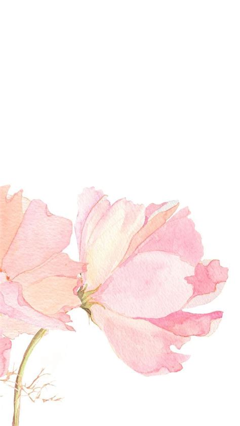 Pink Watercolour Floral Flowers Iphone Phone, watercolor floral HD ...